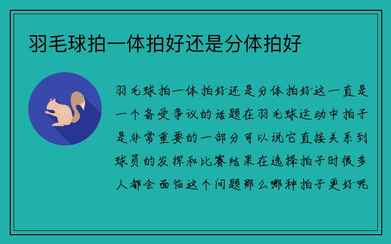 羽毛球拍一体拍好还是分体拍好